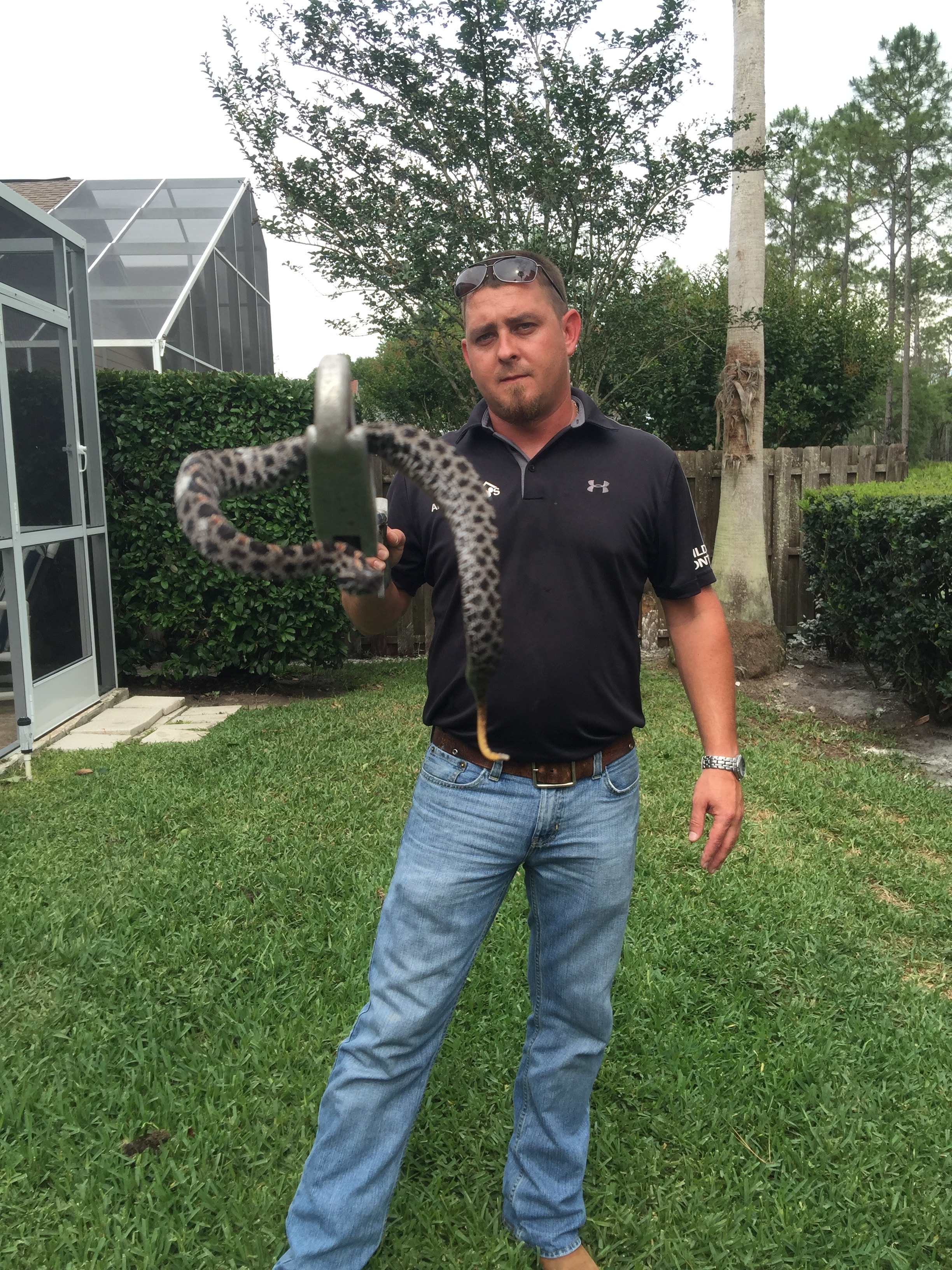 Man holding spotted snake outdoors — professional removal